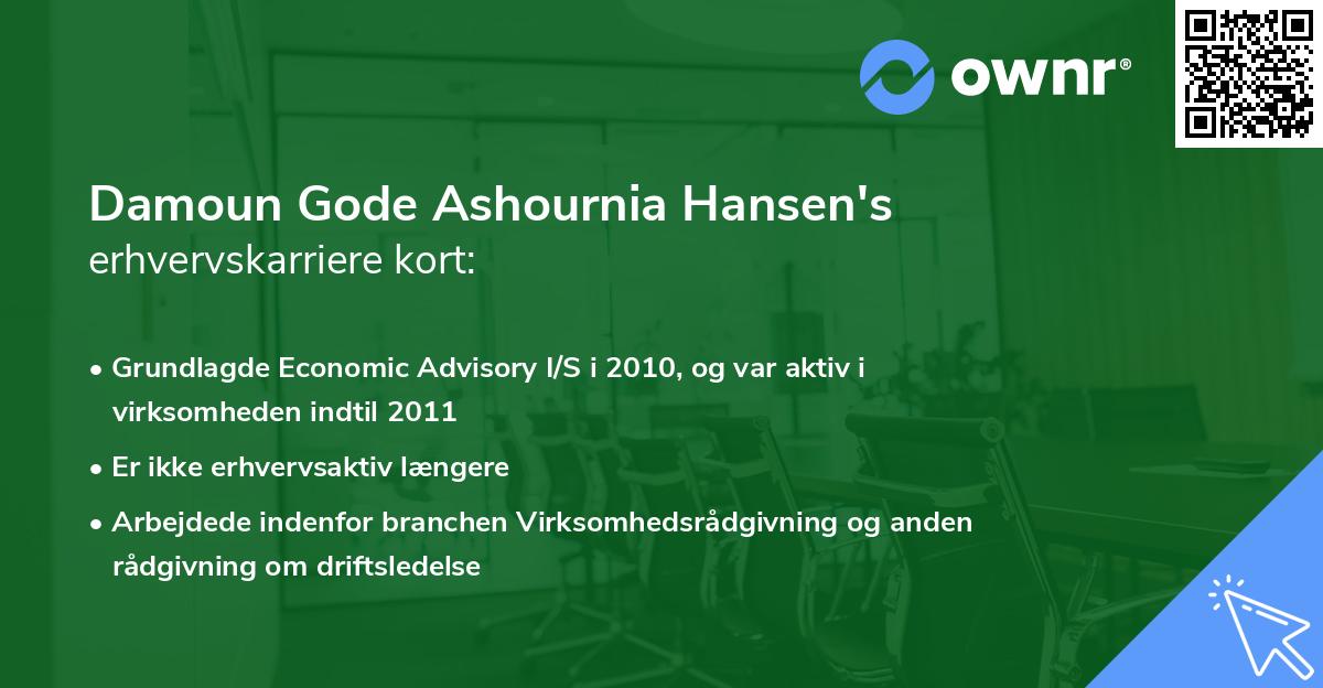 Damoun Gode Ashournia Hansen's erhvervskarriere kort