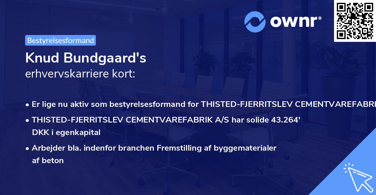 Knud Bundgaard's erhvervskarriere kort