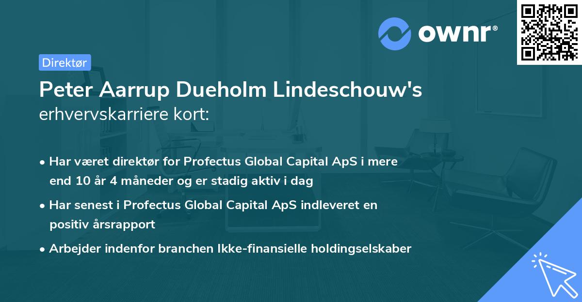 Peter Aarrup Dueholm Lindeschouw's erhvervskarriere kort