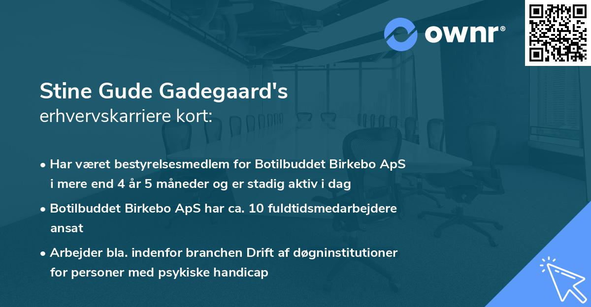 Stine Gude Gadegaard's erhvervskarriere kort