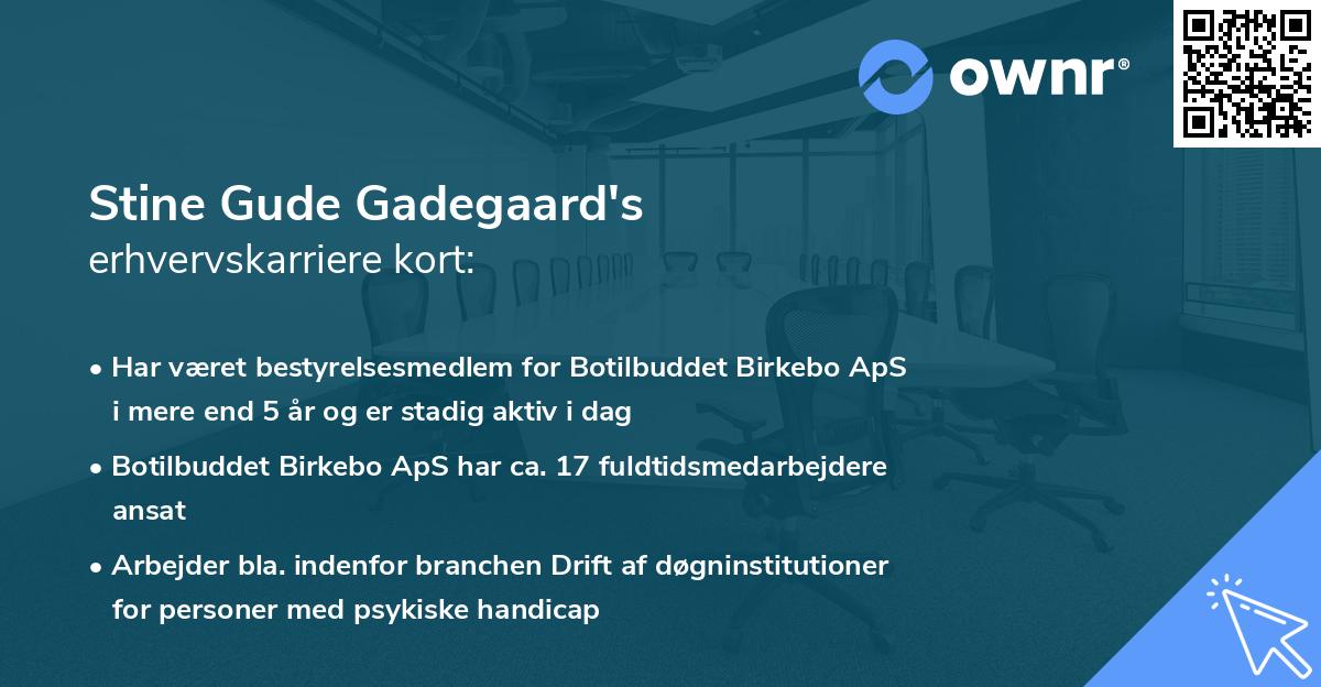 Stine Gude Gadegaard's erhvervskarriere kort