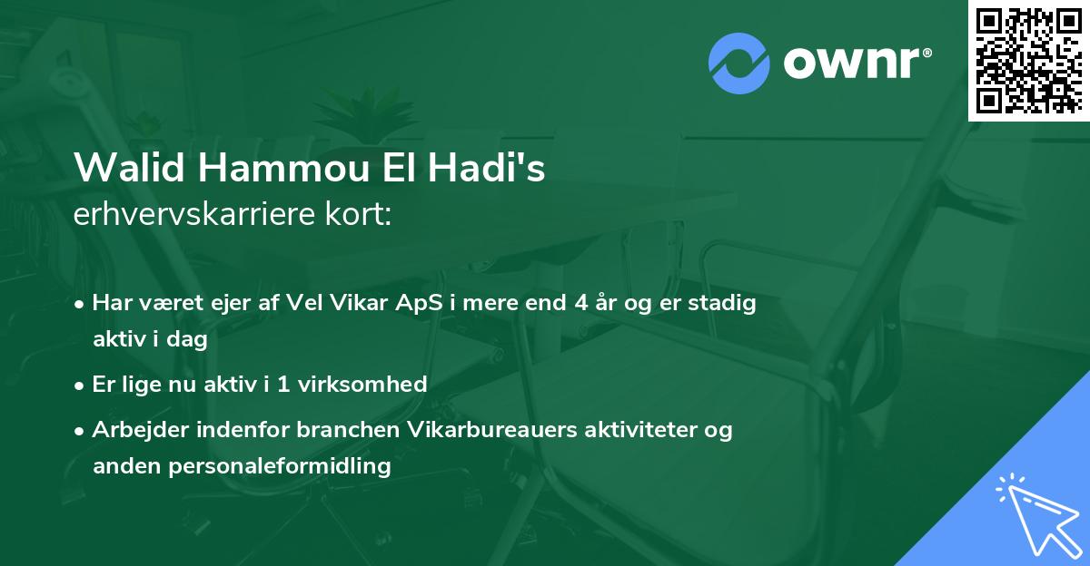 Walid Hammou El Hadi's erhvervskarriere kort