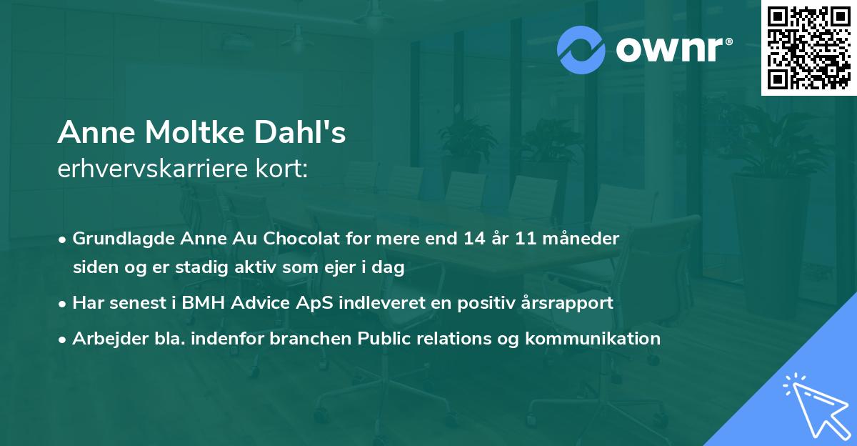 Anne Moltke Dahl's erhvervskarriere kort