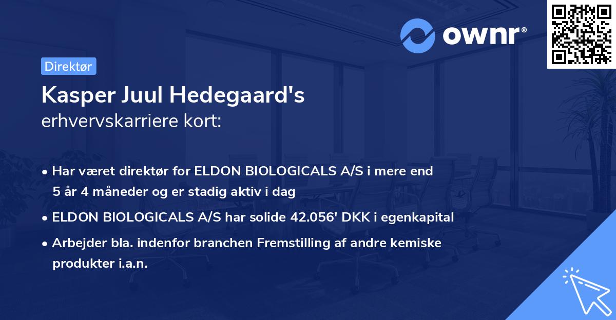 Kasper Juul Hedegaard's erhvervskarriere kort
