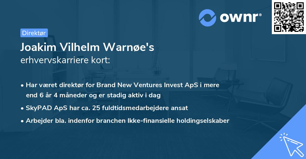 Joakim Vilhelm Warnøe's erhvervskarriere kort