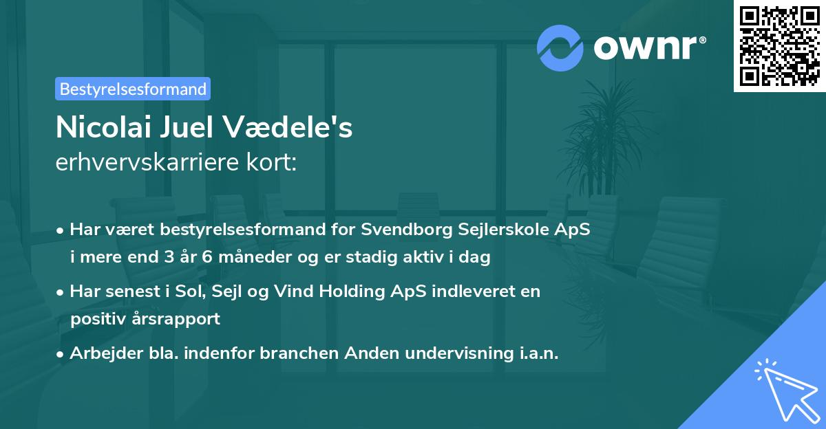 Nicolai Juel Vædele's erhvervskarriere kort