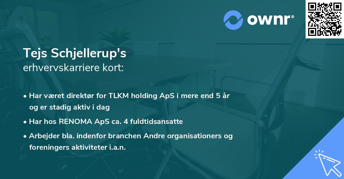 Tejs Schjellerup's erhvervskarriere kort