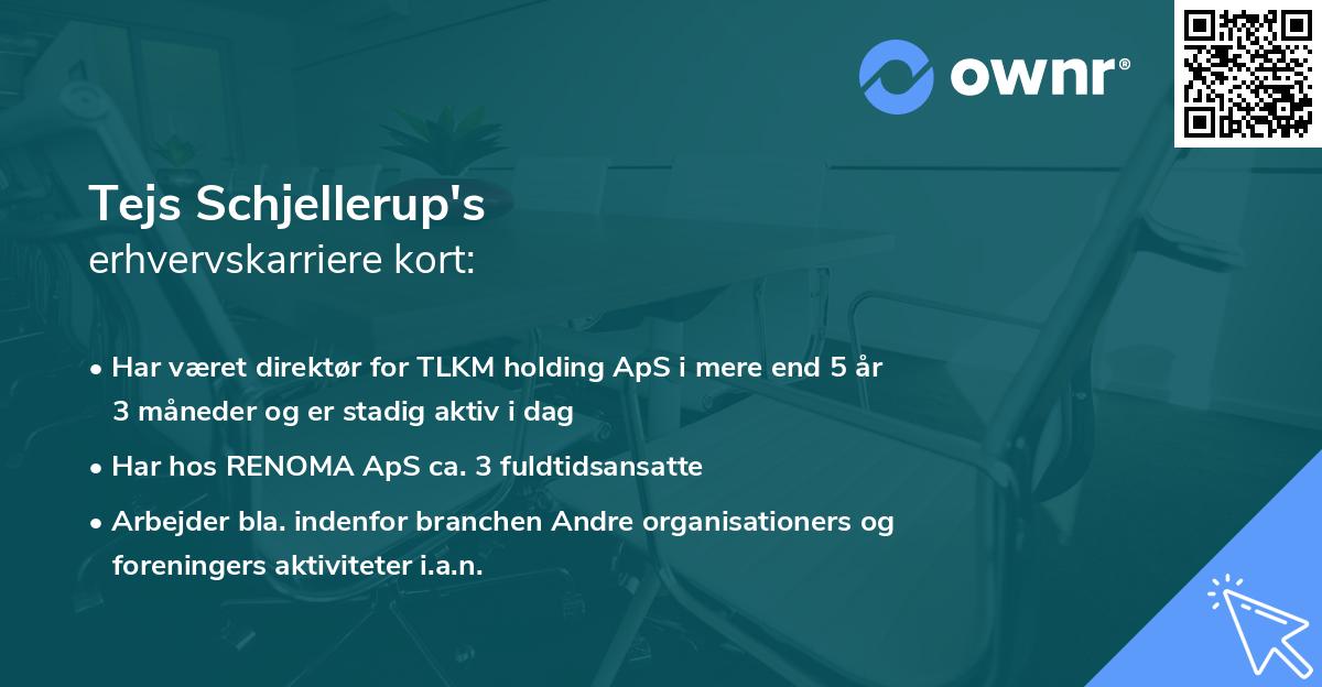 Tejs Schjellerup's erhvervskarriere kort