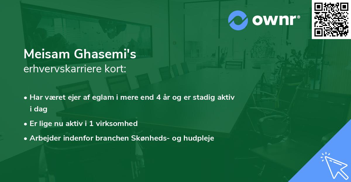 Meisam Ghasemi's erhvervskarriere kort