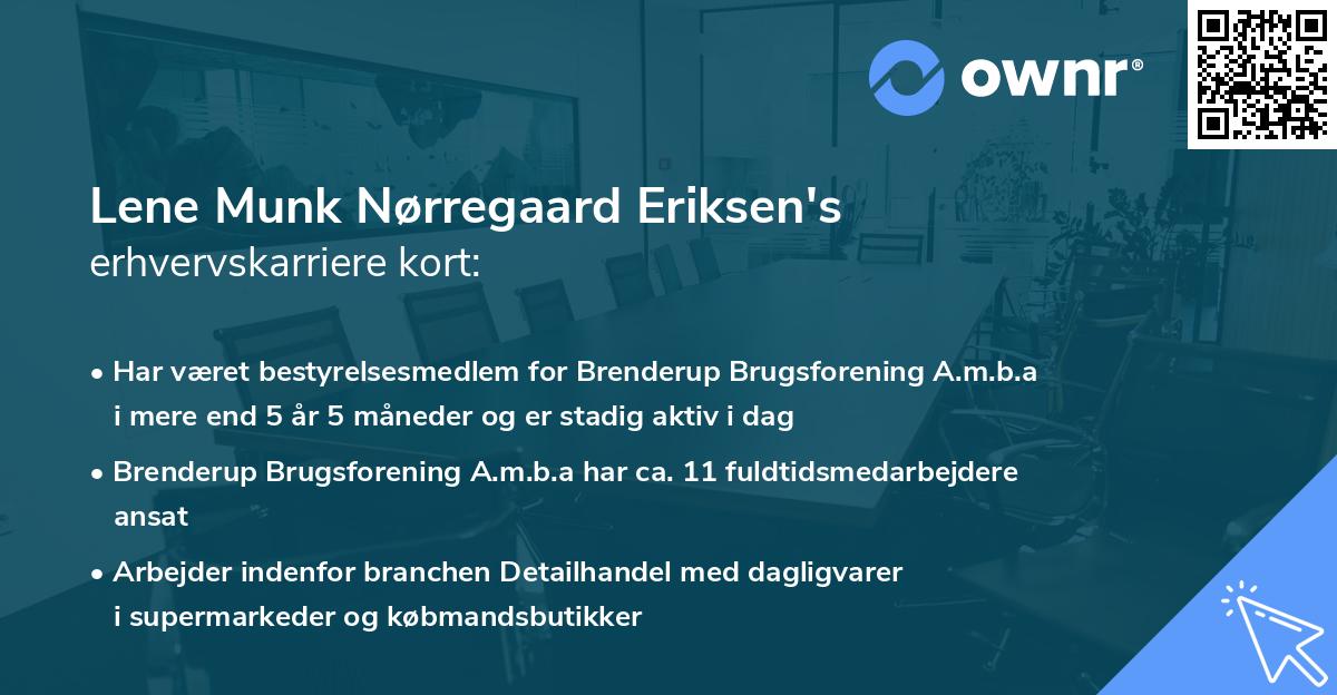 Lene Munk Nørregaard Eriksen's erhvervskarriere kort