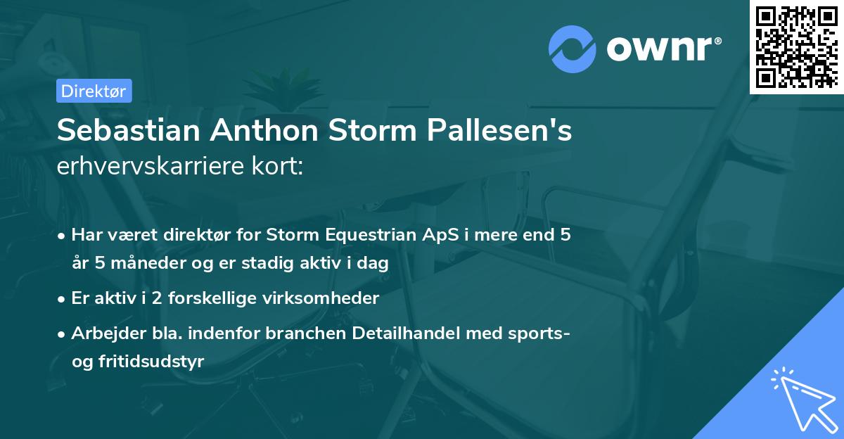 Sebastian Anthon Storm Pallesen's erhvervskarriere kort
