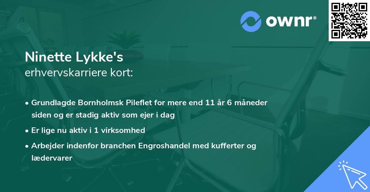 Ninette Lykke's erhvervskarriere kort