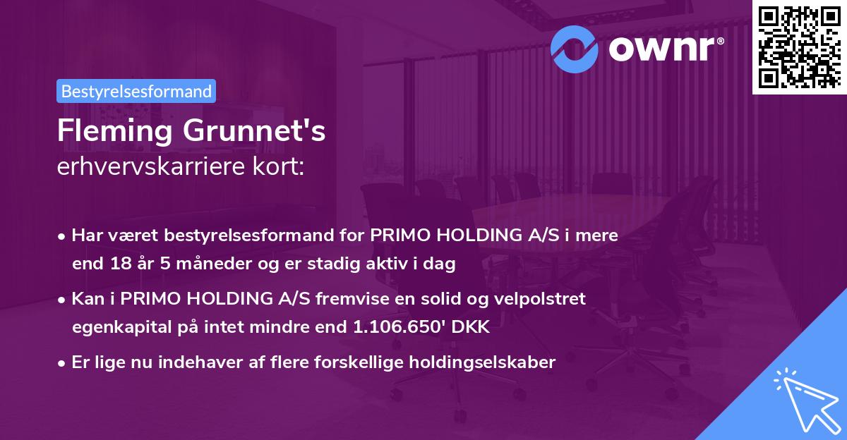 Fleming Grunnet's erhvervskarriere kort