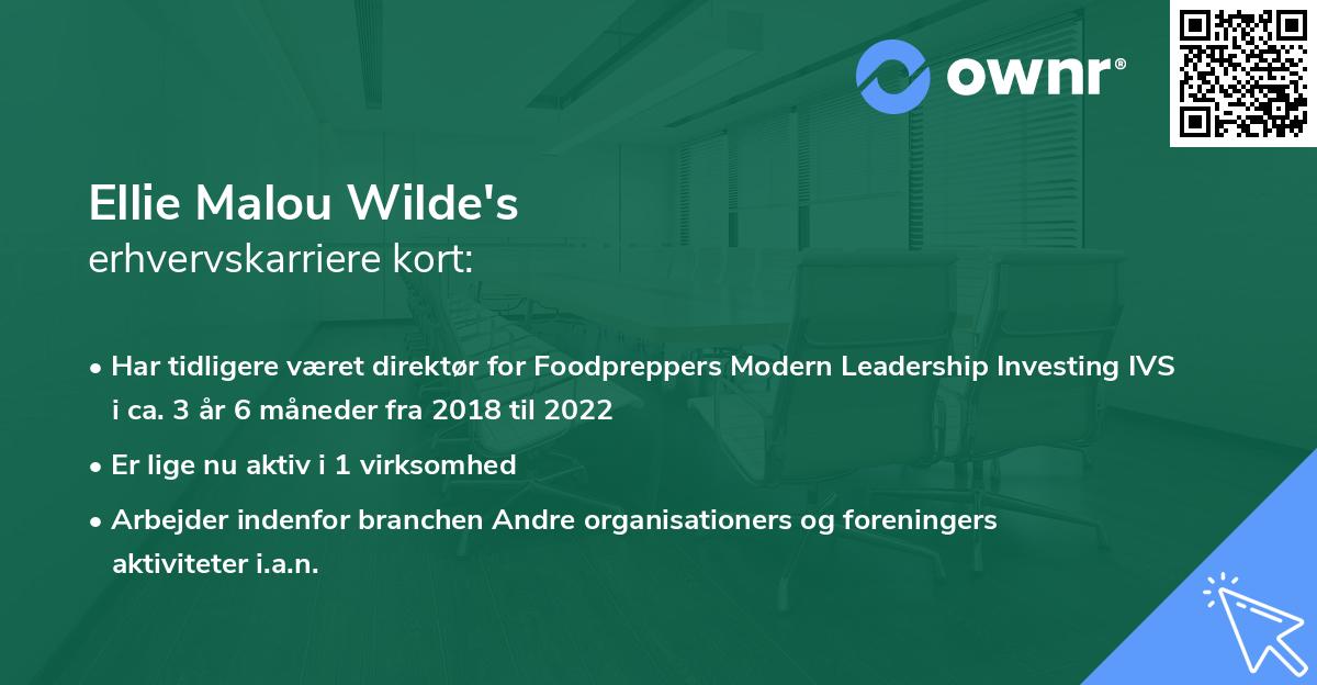 Ellie Malou Wilde's erhvervskarriere kort