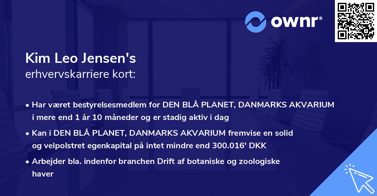 Kim Leo Jensen's erhvervskarriere kort