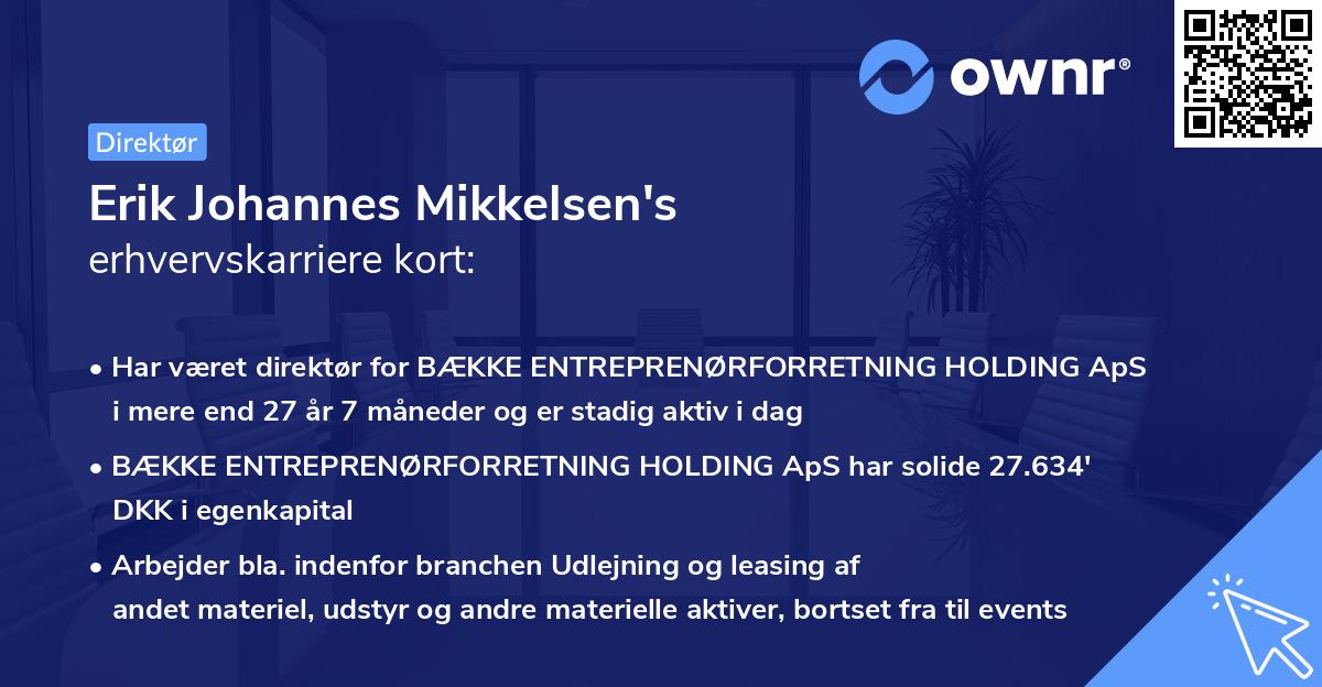 Erik Johannes Mikkelsen's erhvervskarriere kort
