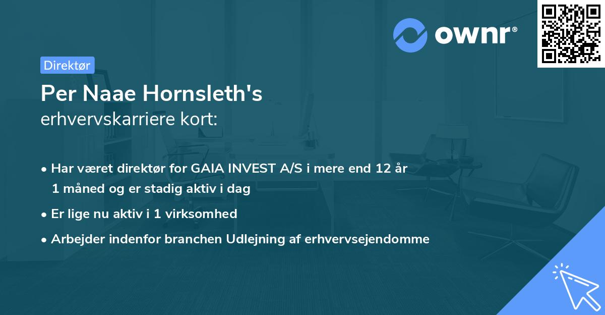 Per Naae Hornsleth's erhvervskarriere kort