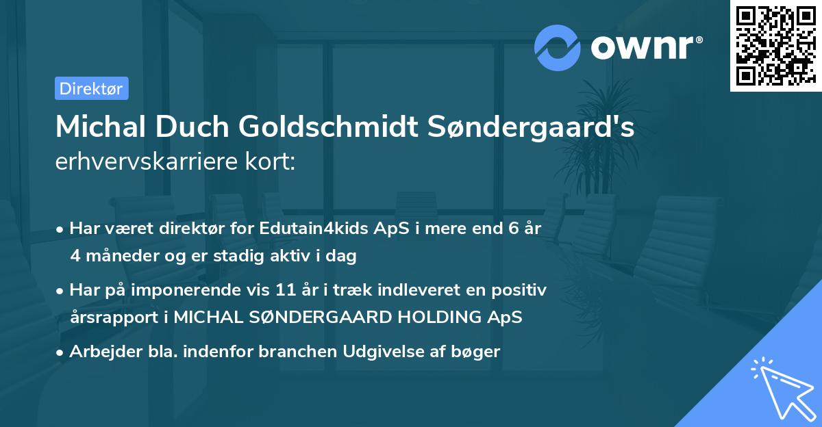 Michal Duch Goldschmidt Søndergaard's erhvervskarriere kort