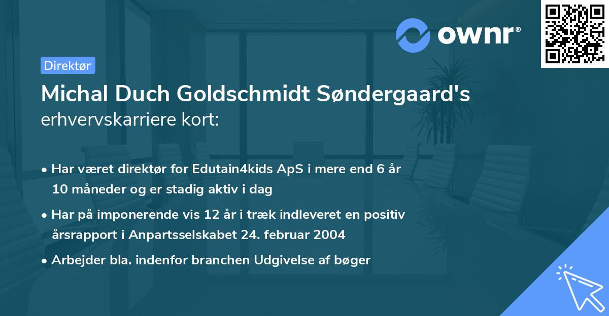 Michal Duch Goldschmidt Søndergaard's erhvervskarriere kort