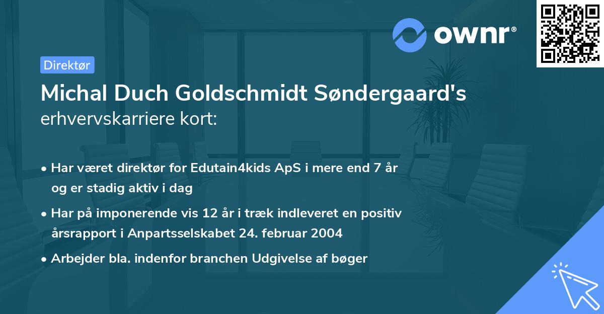 Michal Duch Goldschmidt Søndergaard's erhvervskarriere kort