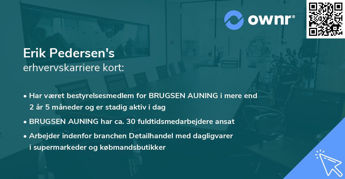 Erik Pedersen's erhvervskarriere kort