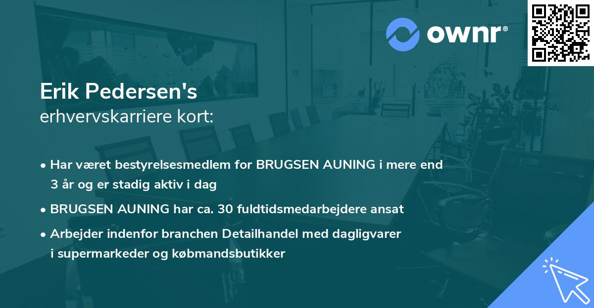 Erik Pedersen's erhvervskarriere kort