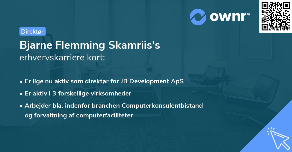 Bjarne Flemming Skamriis's erhvervskarriere kort