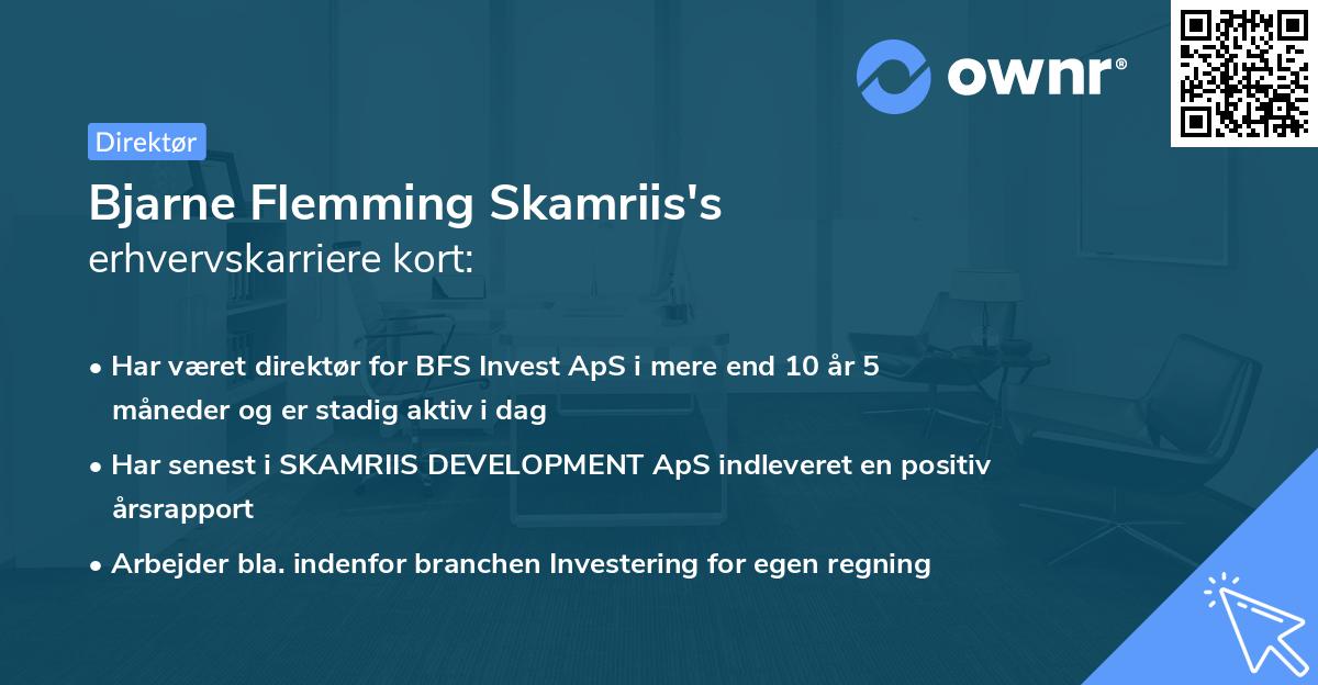 Bjarne Flemming Skamriis's erhvervskarriere kort