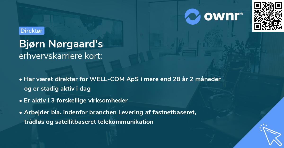 Bjørn Nørgaard's erhvervskarriere kort
