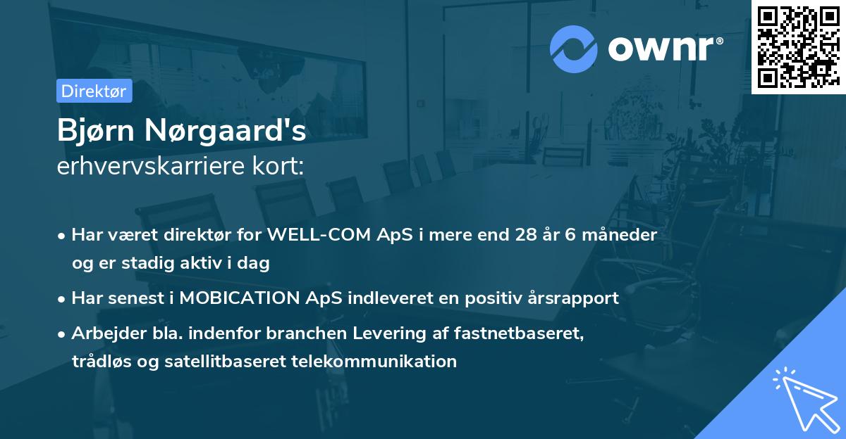 Bjørn Nørgaard's erhvervskarriere kort