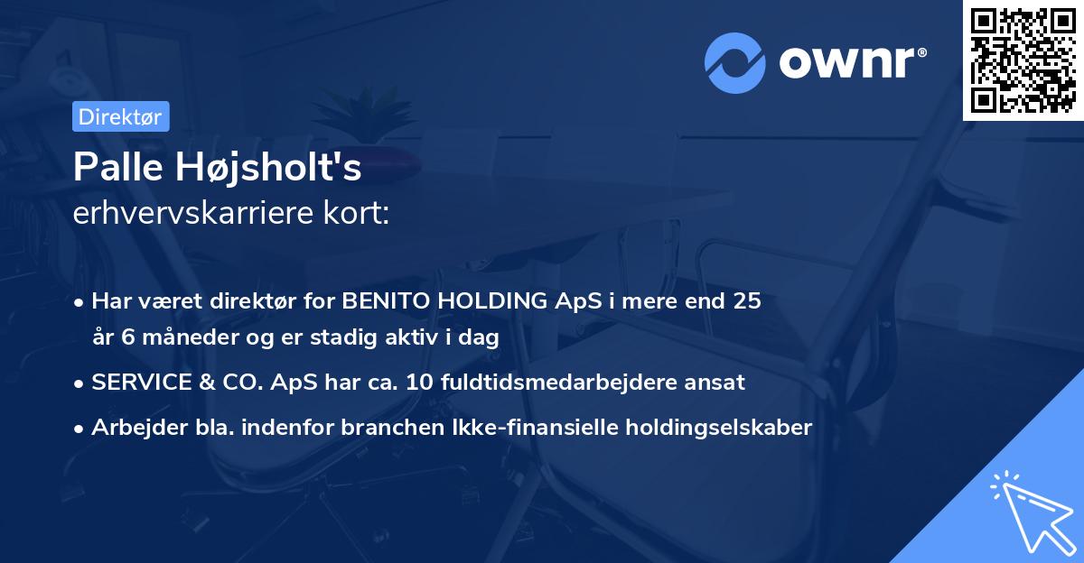 Palle Højsholt's erhvervskarriere kort