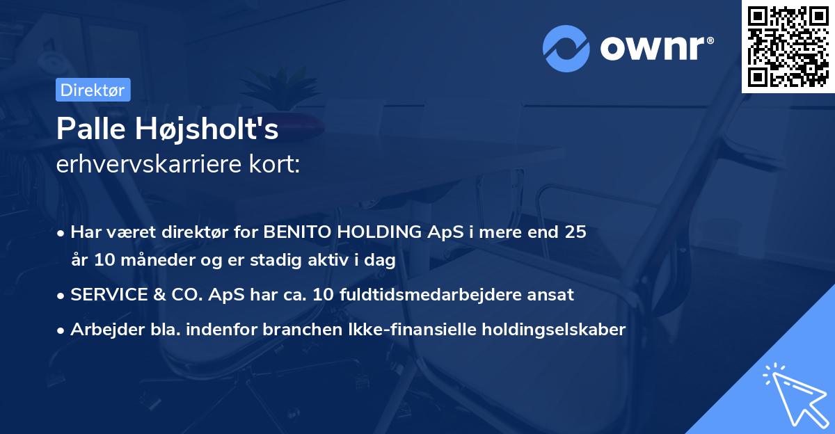 Palle Højsholt's erhvervskarriere kort