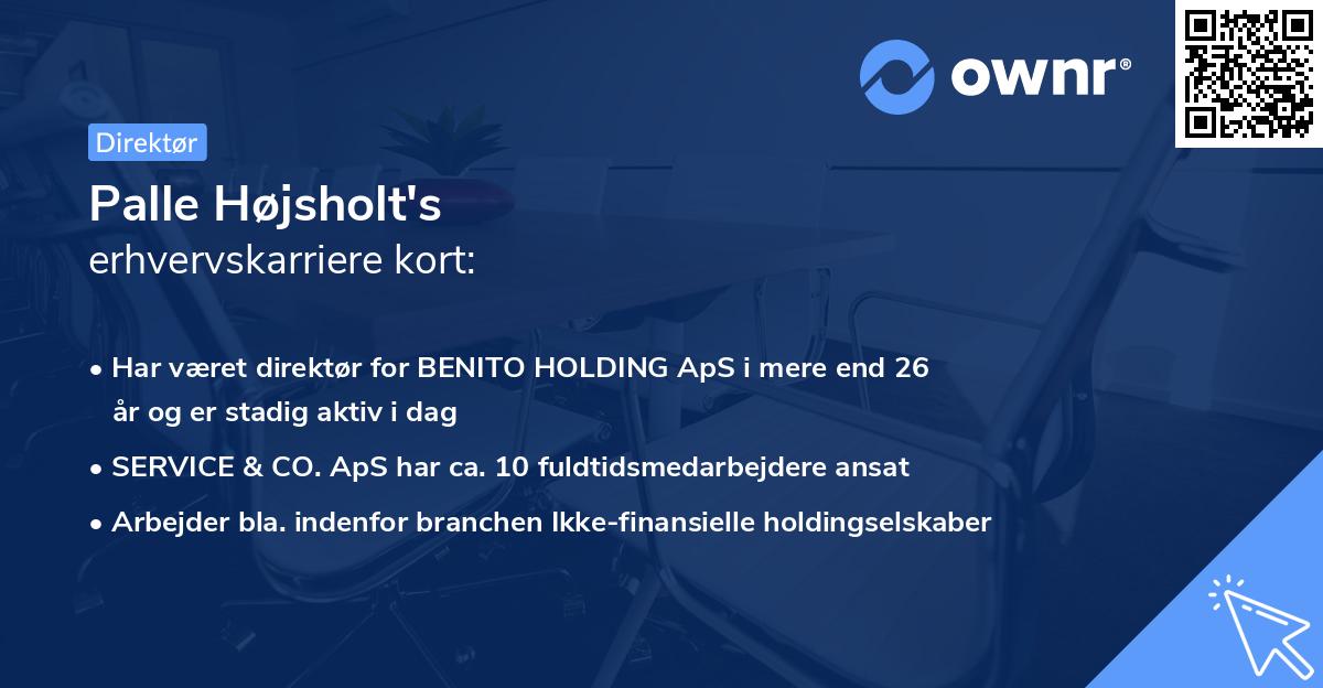 Palle Højsholt's erhvervskarriere kort