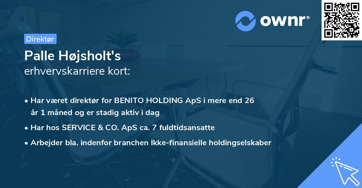 Palle Højsholt's erhvervskarriere kort