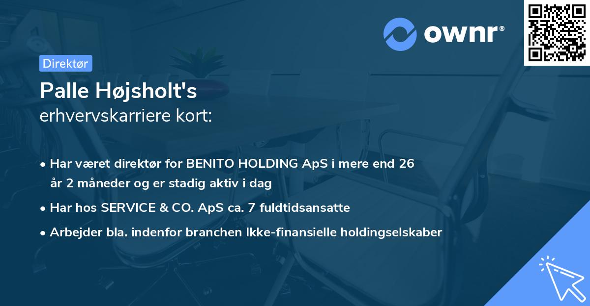 Palle Højsholt's erhvervskarriere kort