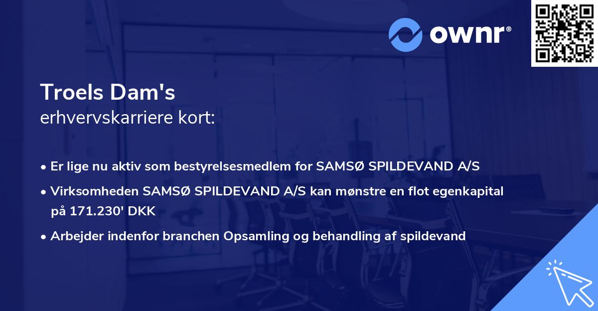 Troels Dam's erhvervskarriere kort