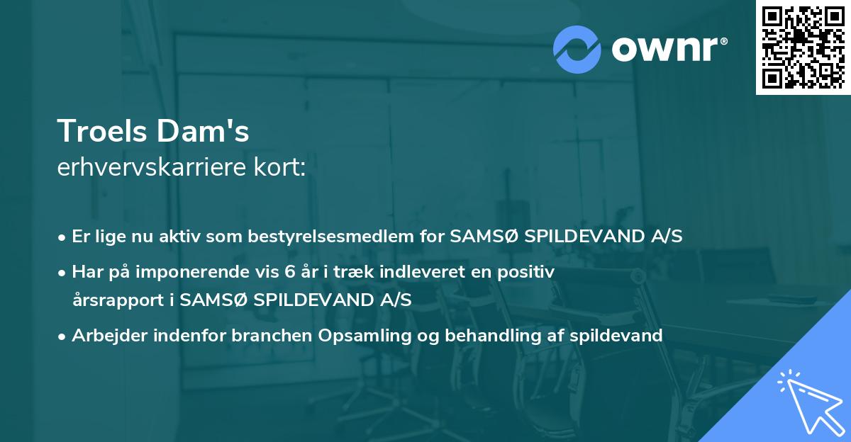 Troels Dam's erhvervskarriere kort