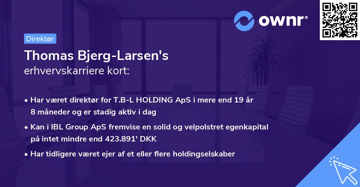 Thomas Bjerg-Larsen's erhvervskarriere kort