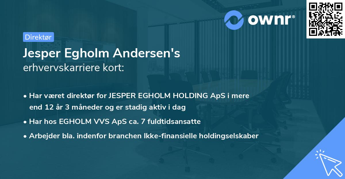 Jesper Egholm Andersen's erhvervskarriere kort