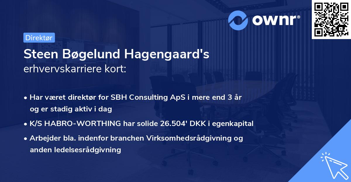 Steen Bøgelund Hagengaard's erhvervskarriere kort