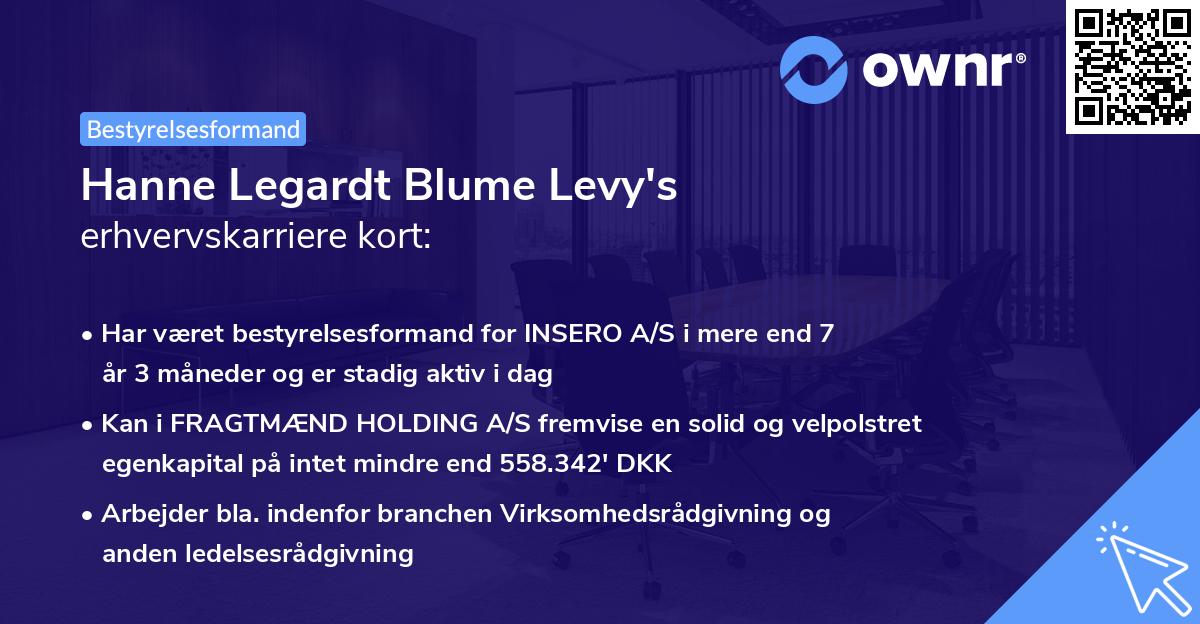 Hanne Legardt Blume Levy's erhvervskarriere kort