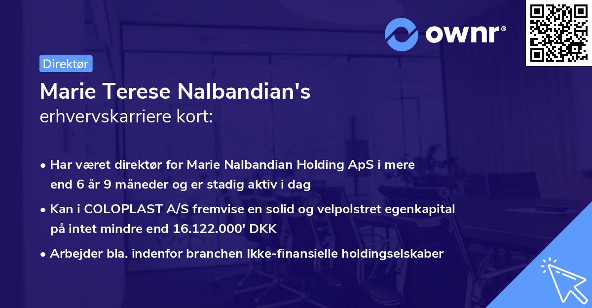 Marie Terese Nalbandian's erhvervskarriere kort