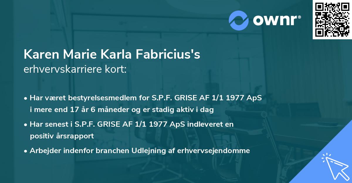 Karen Marie Karla Fabricius's erhvervskarriere kort