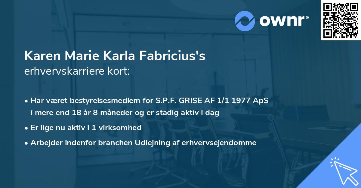 Karen Marie Karla Fabricius's erhvervskarriere kort