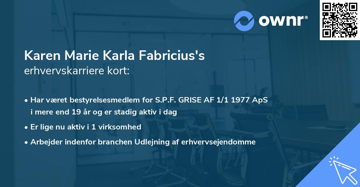 Karen Marie Karla Fabricius's erhvervskarriere kort
