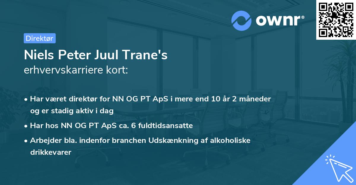 Niels Peter Juul Trane's erhvervskarriere kort