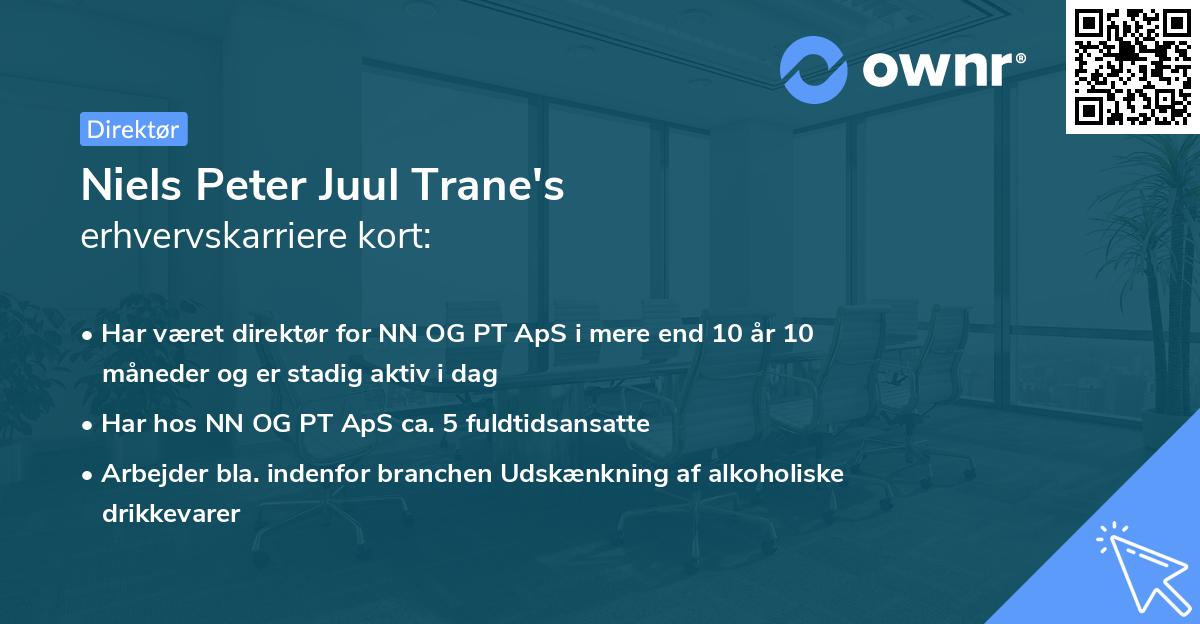 Niels Peter Juul Trane's erhvervskarriere kort