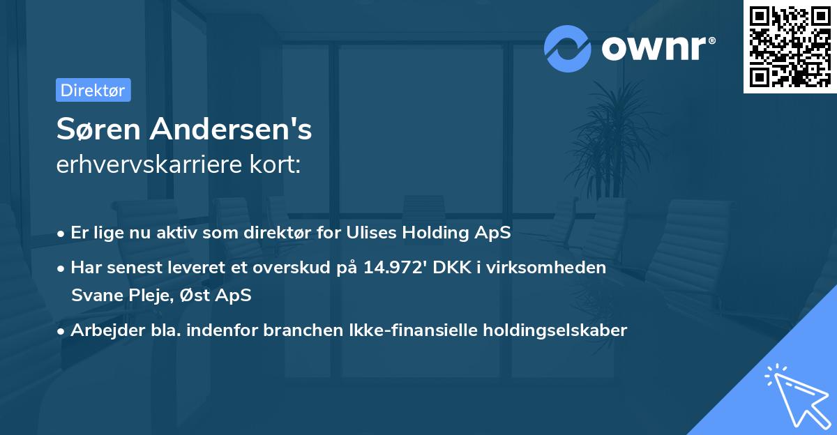 Søren Andersen's erhvervskarriere kort