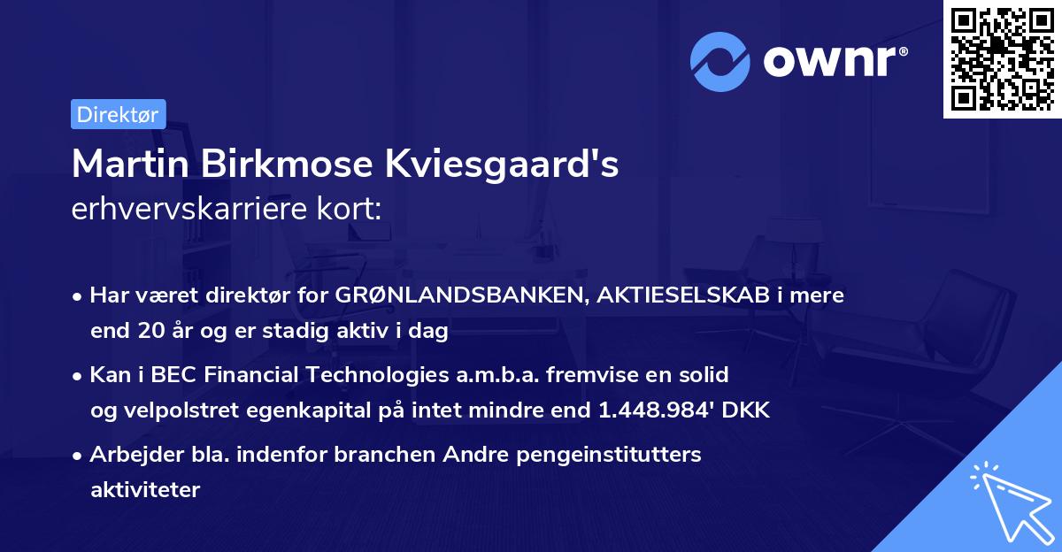 Martin Birkmose Kviesgaard's erhvervskarriere kort