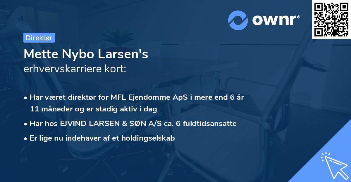 Mette Nybo Larsen's erhvervskarriere kort